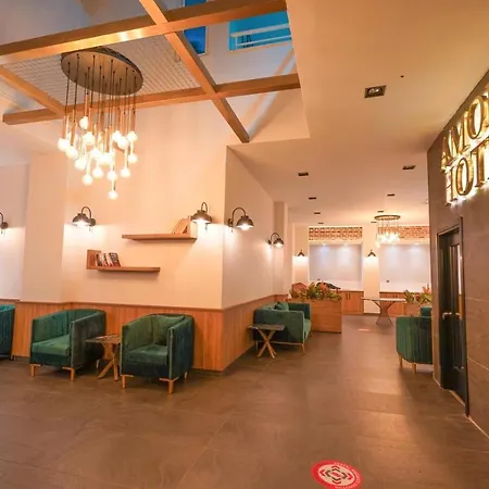 酒店 Hotel Amore 马尔马里斯