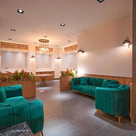 Hotel Amore 酒店 马尔马里斯