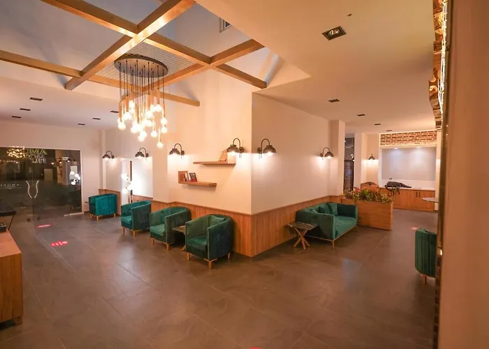 Hotel Amore 酒店 3*